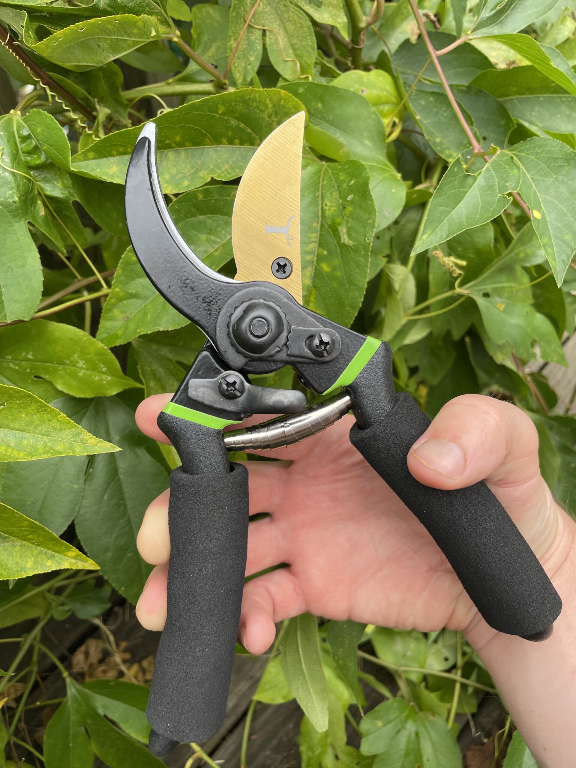 pruner