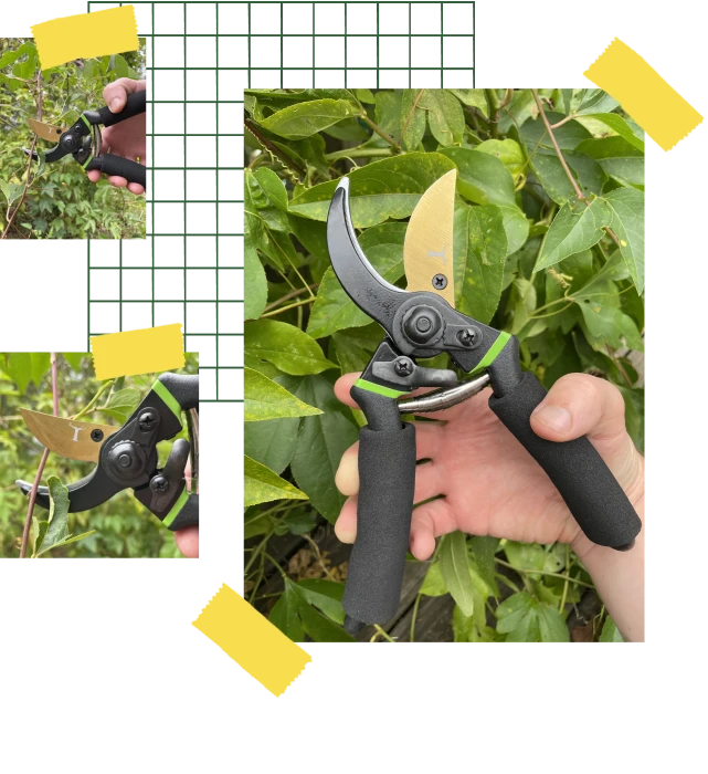 pruner plant cutter